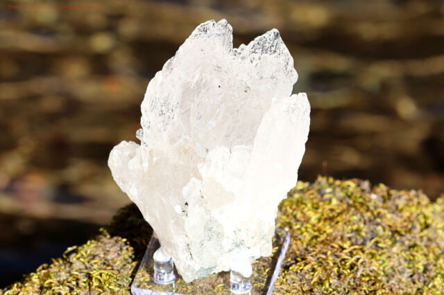 Mother Of All Crystal/メルー水晶/アイスクリスタル/クローライト/ヒマラヤ水晶/（T969)