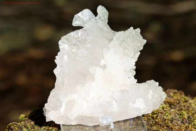 Mother Of All Crystal/メルー水晶/アイスクリスタル/クローライト/ヒマラヤ水晶/（T970)