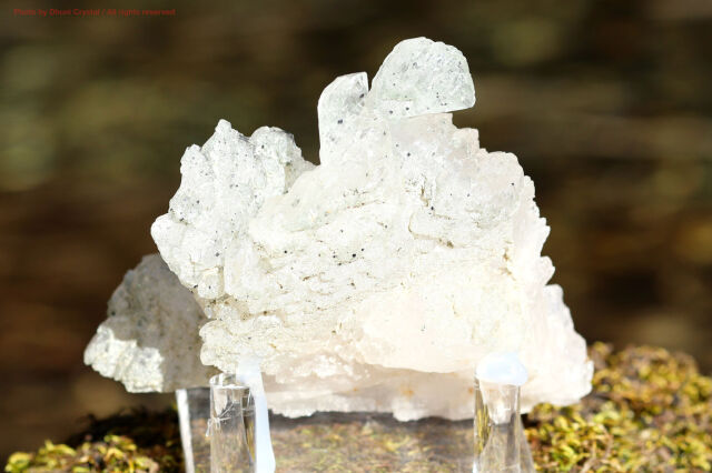 ❤️ レア　虹入り　 透明度抜群 極みの逸品 ヒマラヤ 水晶クラスター 原石 専用 ❤️ レア 虹入り 透明度抜群 極みの逸品 ヒマラヤ 水晶