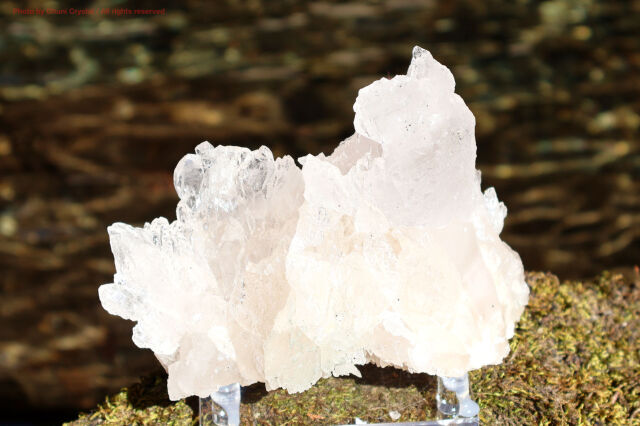 Mother Of All Crystal/メルー水晶/アイスクリスタル/クローライト/ヒマラヤ水晶/（T971)