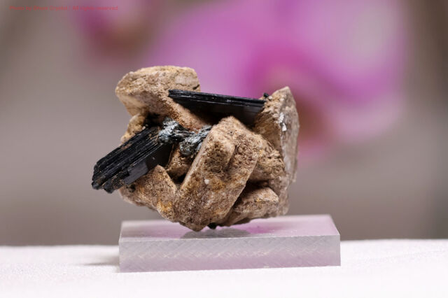 エジリン結晶withフェルドスパー/錐輝石(T986)