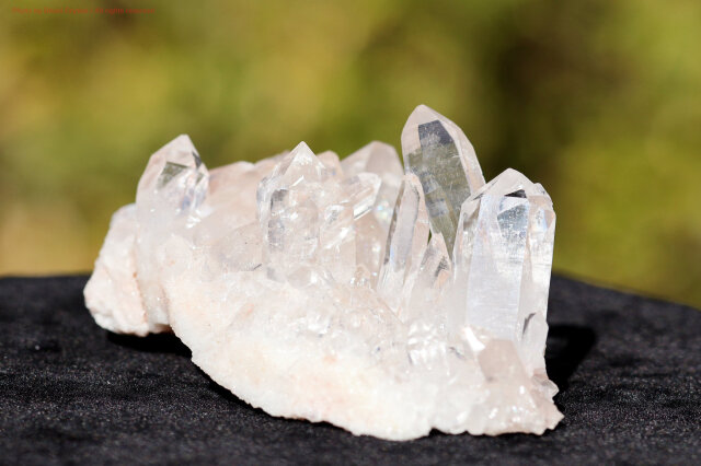 ヒマラヤ水晶｜マニカラン産ピンククラスター｜淡い癒しの輝き