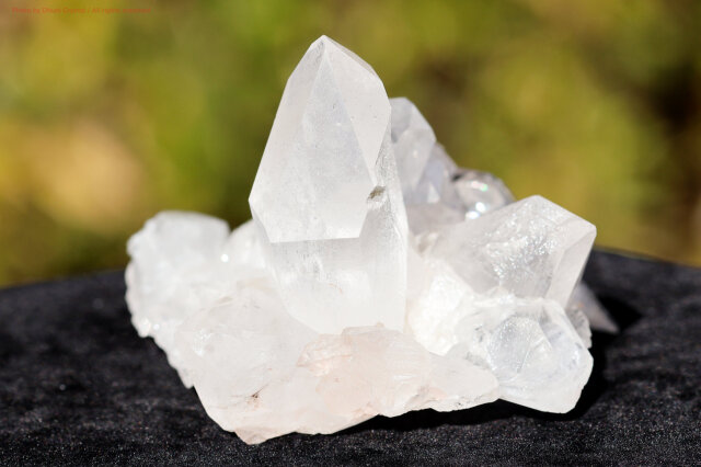 ヒマラヤ水晶｜マニカラン産ピンククラスター｜淡い癒しの輝き