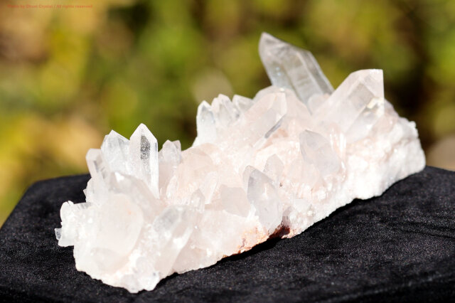 ヒマラヤ水晶｜マニカラン産ピンククラスター｜淡い癒しの輝き