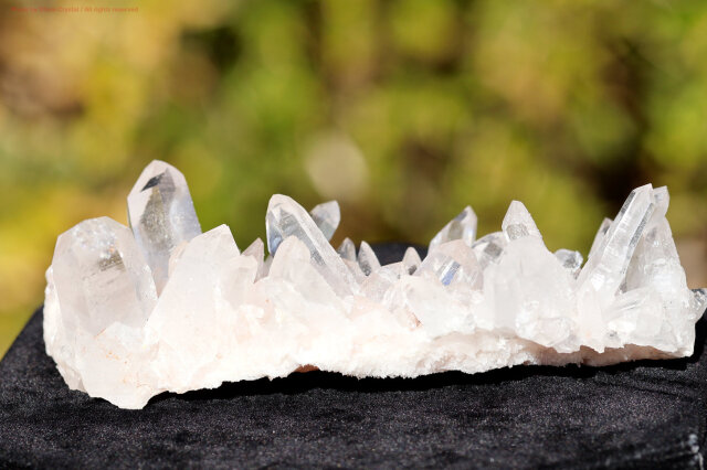 ヒマラヤ水晶｜マニカラン産ピンククラスター｜淡い癒しの輝き