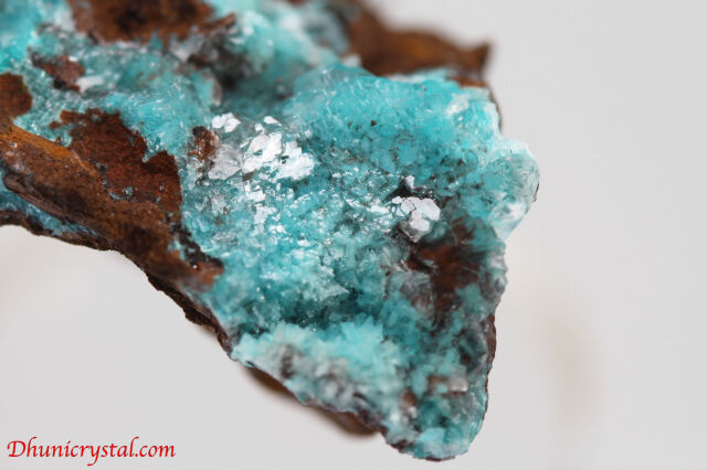 ローザサイト&セレナイト/共生鉱物(J269)