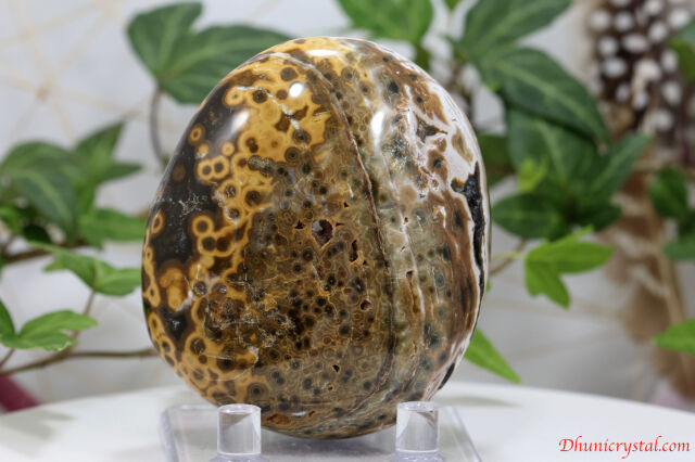 オーシャンジャスパー（V4）