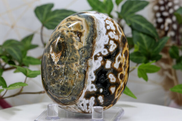 オーシャンジャスパー（V4）