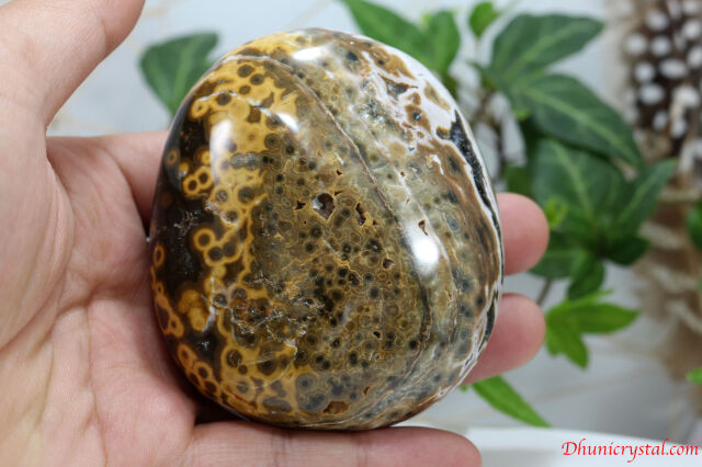 オーシャンジャスパー（V4）