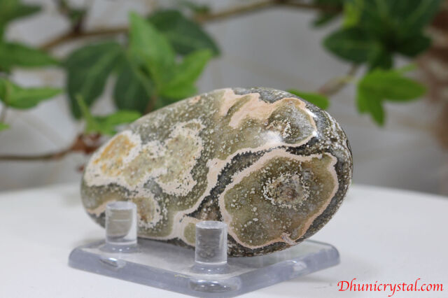 オーシャンジャスパー（V5）