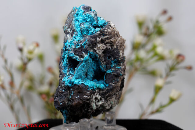 v88-2.jpg?t=20220628155745