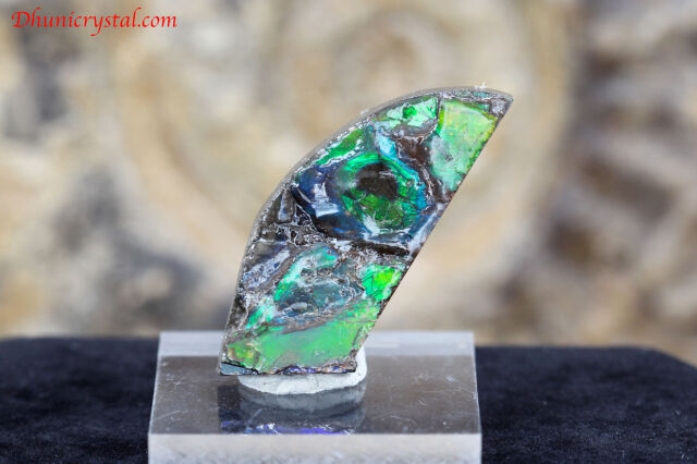 アンモライト(V918)