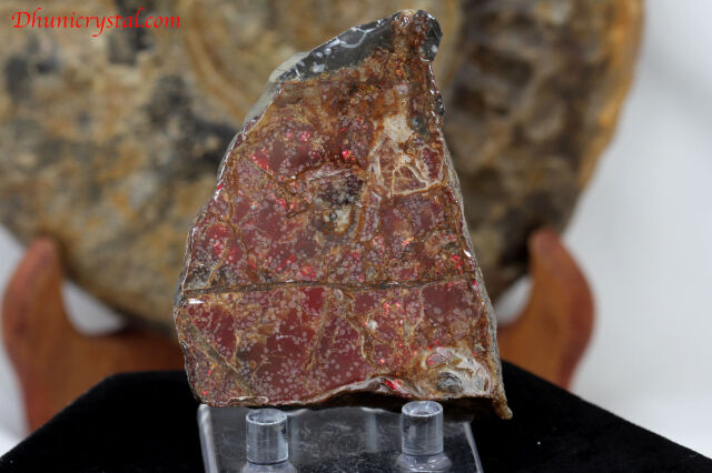 アンモライト(V922)