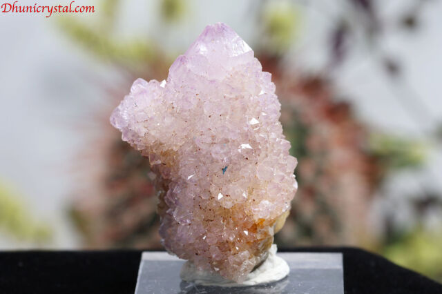 カクタスクォーツ(スピリットクォーツ）