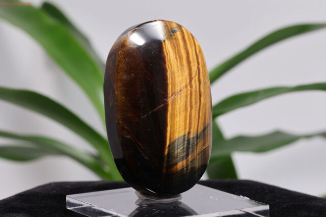 タイガーアイ(W232)