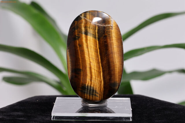 タイガーアイ(W232)