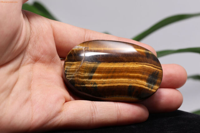 タイガーアイと柘植！落ち着きとやる気！ジュドーンとくる！ ミックスタイガーアイ (混虎目石) 原石磨き164g｜天然石通販キラリ石