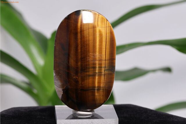 【SOLDOUT】タイガーアイ(W238)