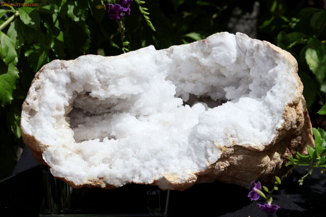 w265-2.jpg?t=20240919150409