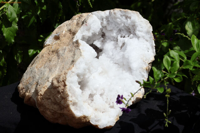 晶洞/大型ジオード水晶(W265)