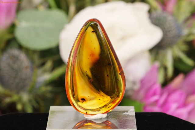 【SOLDOUT】コロンビアン・アンバー/虫さん入り(W347)