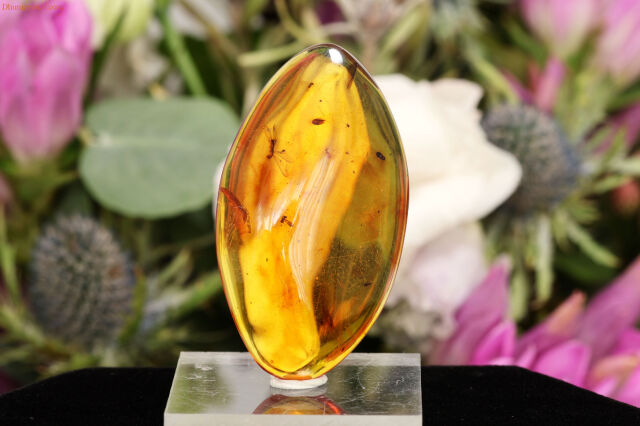 【SOLDOUT】コロンビアン・アンバー/虫さん入り(W348)