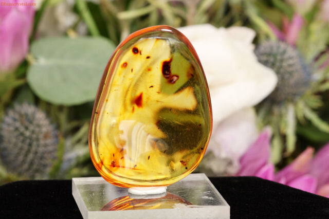 コロンビアン・アンバー/虫さん入り(W349)