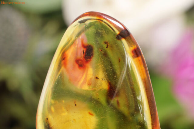 コロンビアン・アンバー/虫さん入り(W349)