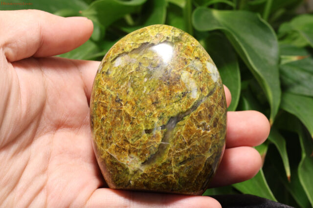 サーペンティン(W422)