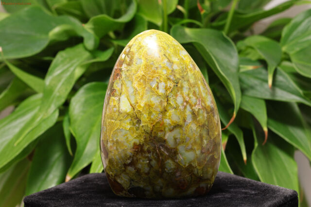 レア　高品質　ブルーオニキス　大きめ卵　egg レムリアンアクアティンカルサイト ブルーカルサイト(レムリアン・アクアティン・カルサイト)【12