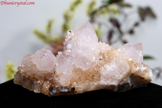 カクタスクォーツ(スピリットクォーツ）