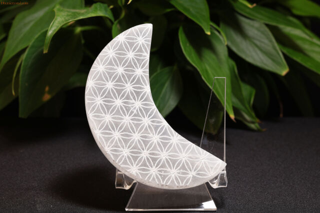 セレナイト/フラワーオブライフ(W534)