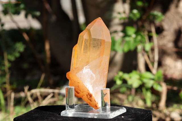 w561-4.jpg?t=20241122160901