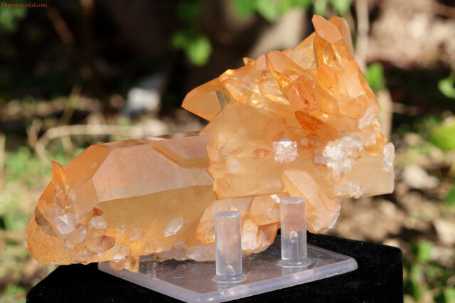 マスタークリスタル　グラウンディングクォーツ　ゴールデンヒーラー ポイント 原石 ゴールデンヒーラー クォーツ 原石 水晶 鉱物 希少石 天然石