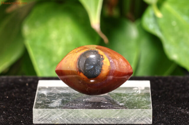 天眼石 原石 s692 オーシャンアゲート 花眼 天然石 petora_pac-338