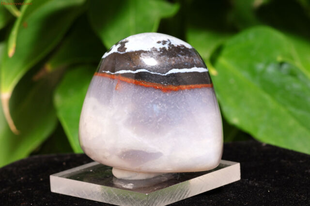 アイアゲート/天眼石( W688)