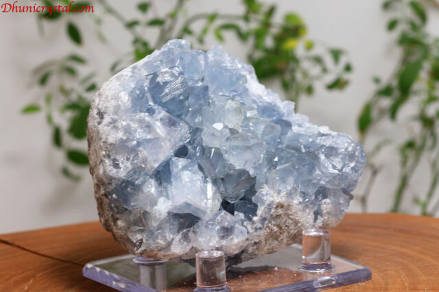セレスタイト原石 セレスタイト 原石 06◇ Celestite ◇天然石・鉱物