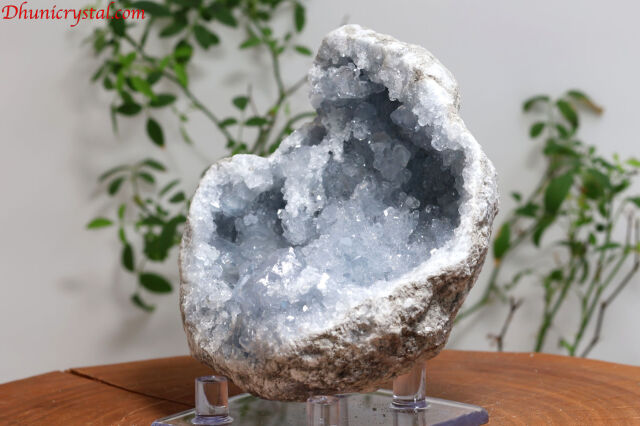 セレスタイト原石/天青石(W75)