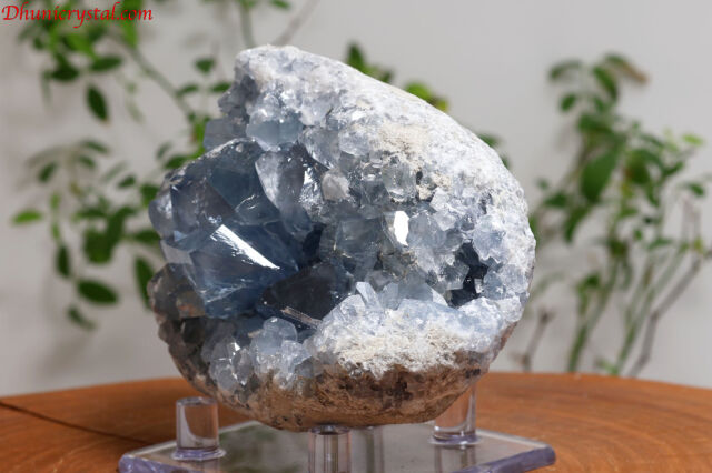w76-3.jpg?t=20240806165130