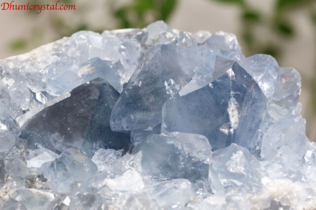 【天然石】セレスタイト Amazon.co.jp: セレスタイト 天青石 原石 クラスター (266) 鉱物