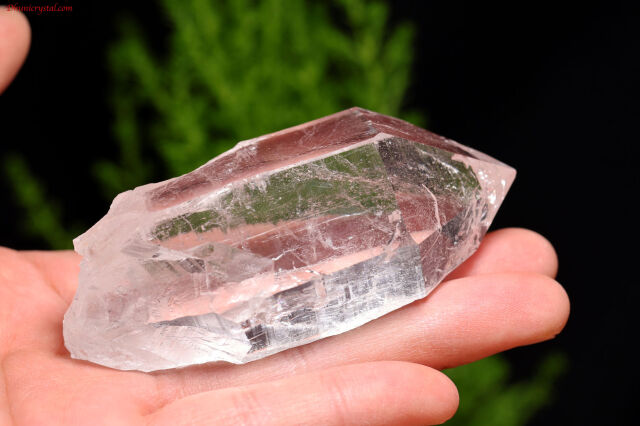 神々の恩寵ヒマラヤ水晶/マニハール産(W778)