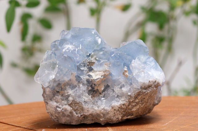 セレスタイト原石/天青石(W79)