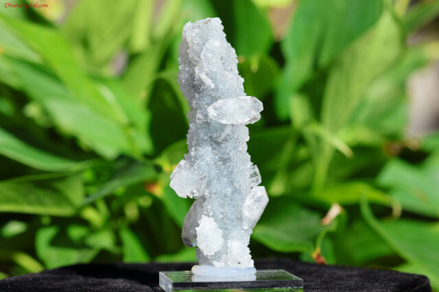 【SOLDOUT】アポフィライト・スタラクタイト原石(W816)