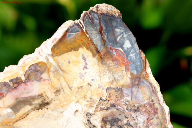 ペトリファイドウッド ハート♡♡珪化木 No1716 ミルクティーカラー