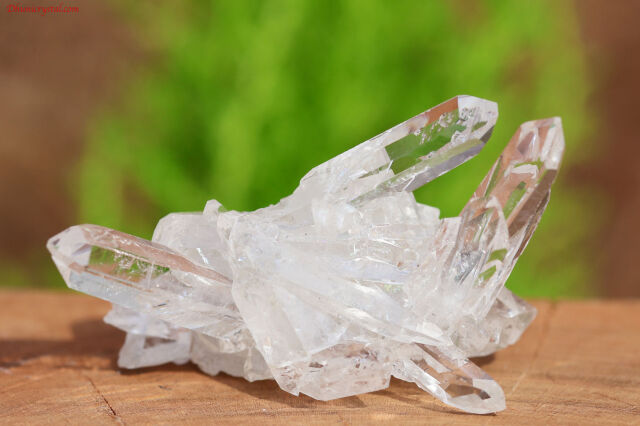 ヴィジョンクォーツ/ゼッカデソウザ水晶 オンラインショップ