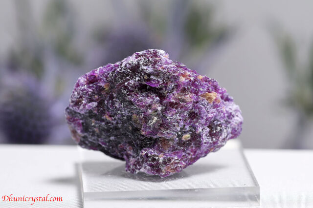 アイオワイト(W932)