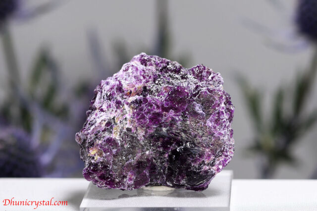 アイオワイト(W935)