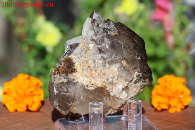 スモーキー・エレスチャル/ジャカレー(W94)