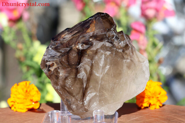 チェラビンスク産エレスチャルスモーキーNo1031 チェラビンスク産エレスチャルスモーキーNo1031 - メルカリ