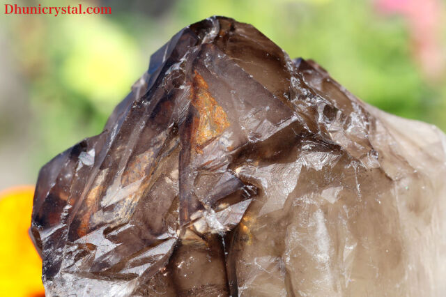 スモーキー・エレスチャル/ジャカレー(W95)